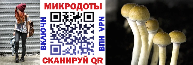 Галлюциногенные грибы мицелий Первоуральск
